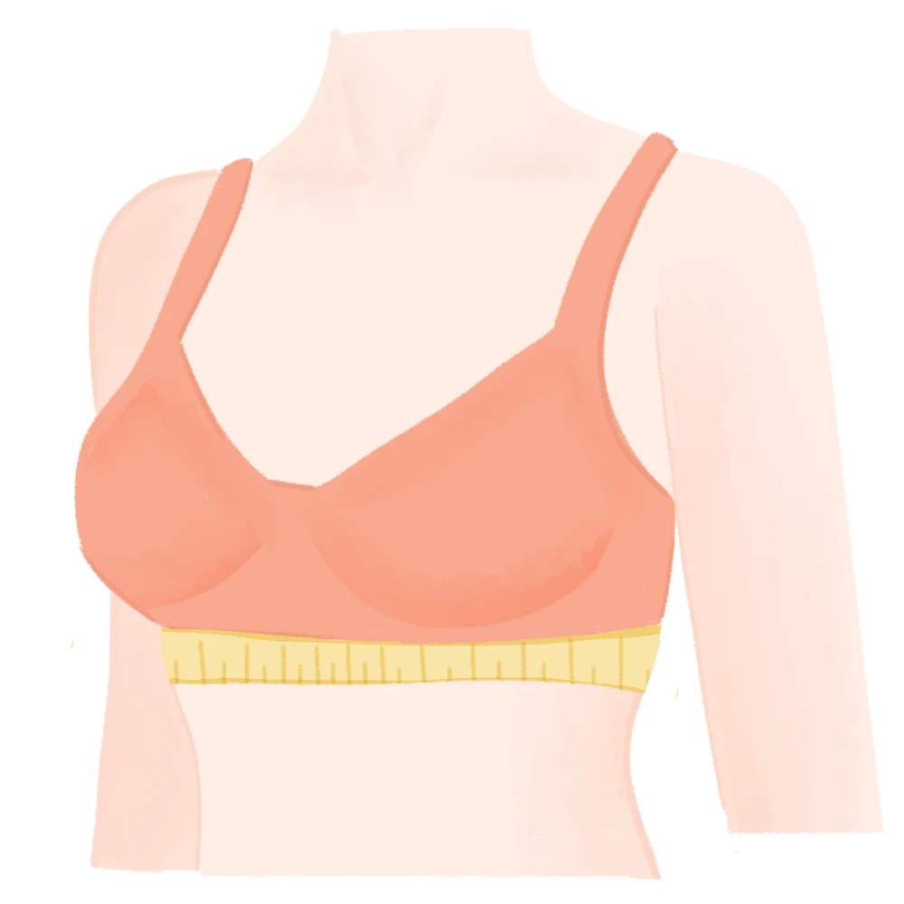 Indian Bra Size Calculator till 54G— Measure your Bra Size by