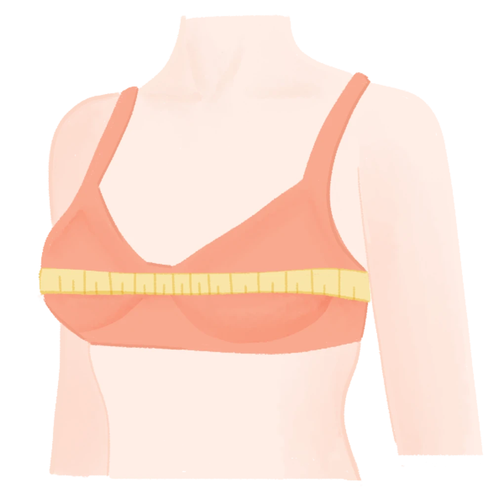 How to accurately measure the bra size?